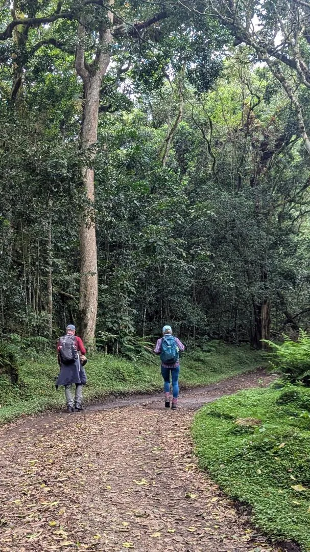 Mount Kilimanjaro trekking landscape